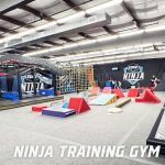 Pioneer Gymnastics