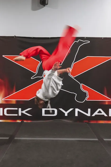 Trick Dynamix Picture 2