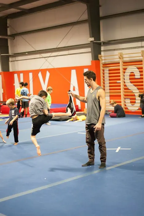Trick Dynamix Picture 3