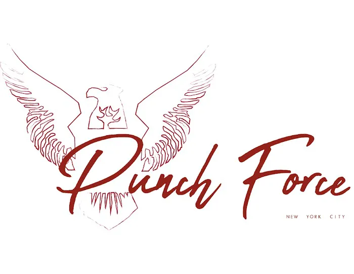Punch Force Fitness Picture 3