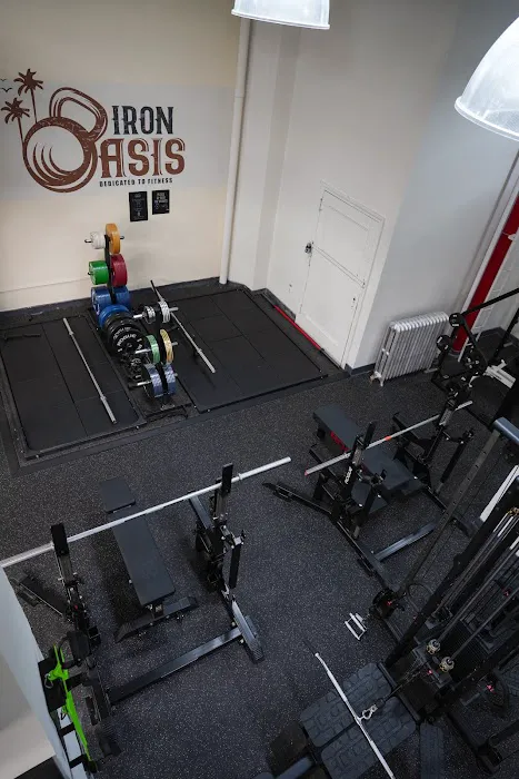 Iron Oasis Picture 6