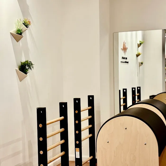 Vita Pilates x Merrithew® Host Training Center Picture 6