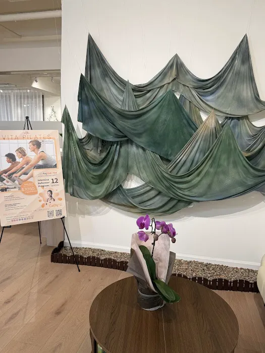 Vita Pilates x Merrithew® Host Training Center Picture 7