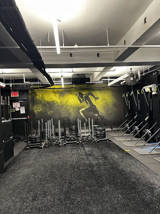 The Training Lab Picture 10