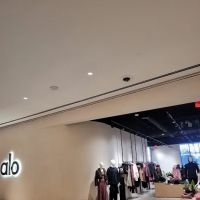Alo Yoga ico