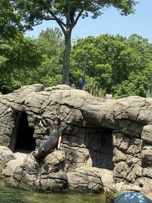 Brooklyn Zoo NY Picture 4
