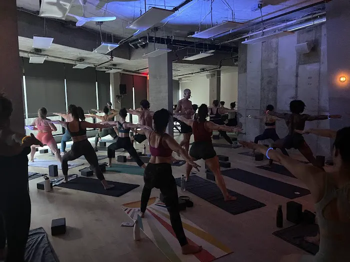 VERAYOGA Picture 6