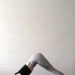 Profesional boxing coach