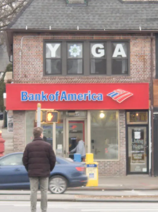 Living Yoga Picture 10