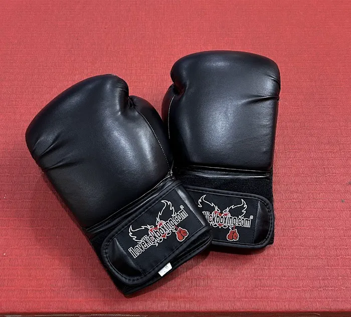 iLoveKickboxing - Forest Hills Picture 1