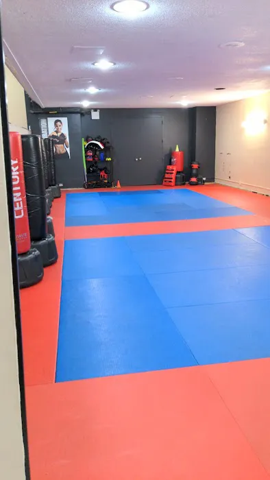 iLoveKickboxing - Forest Hills Picture 6