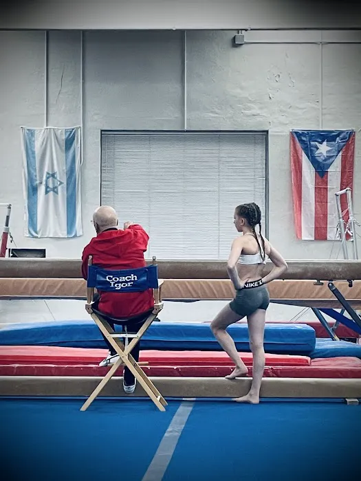 Nina's Gymnastics Center Picture 2