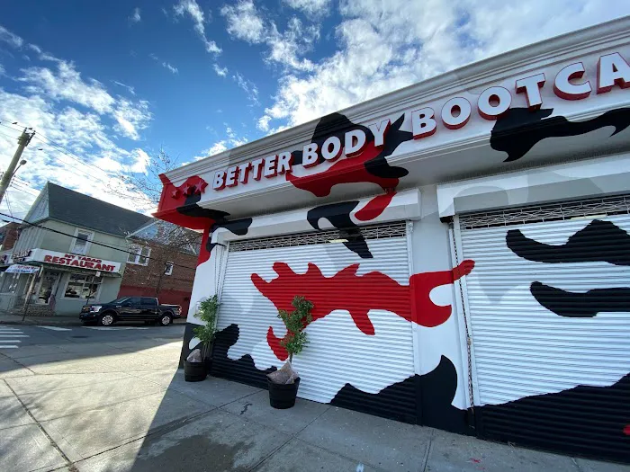 Better Body Bootcamp - Fresh Meadows Picture 5
