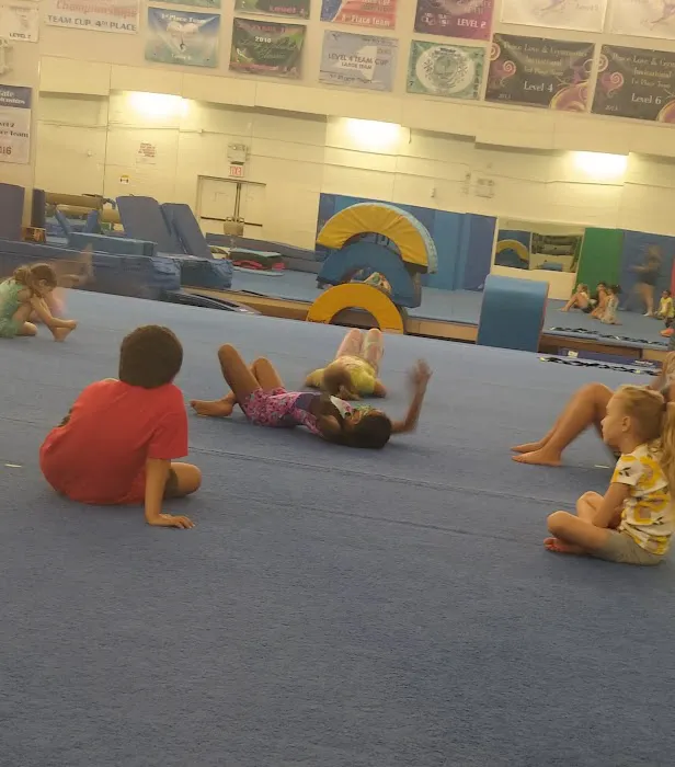 Lana's Gymnastics Club Picture 2