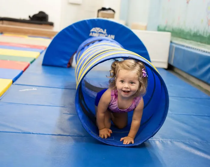 Lana's Gymnastics Club Picture 6