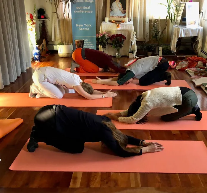 Ananda Marga Yoga and Meditation Center Picture 6