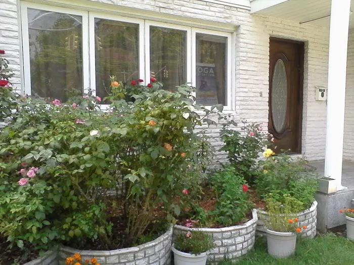 Ananda Marga Yoga and Meditation Center Picture 5