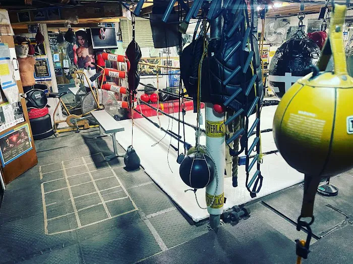 Eastern Queens Boxing Club Picture 9