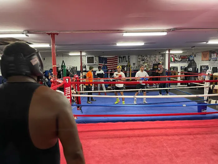 Eastern Queens Boxing Club Picture 5