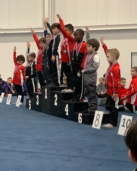 JustHis Gymnastics, Inc. Picture 6