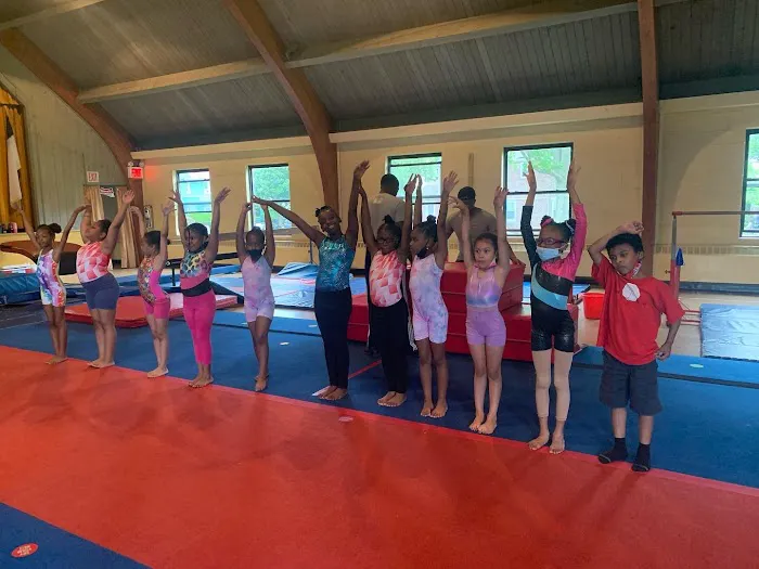 JustHis Gymnastics, Inc. Picture 2
