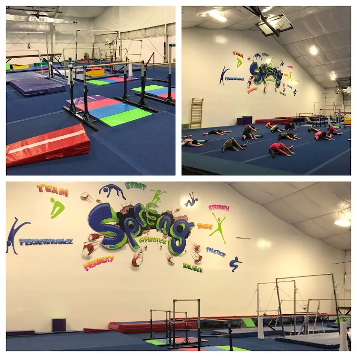 Spring Gymnastics Picture 3