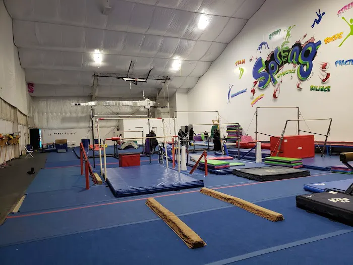 Spring Gymnastics Picture 4