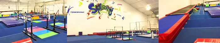 Spring Gymnastics Picture 2