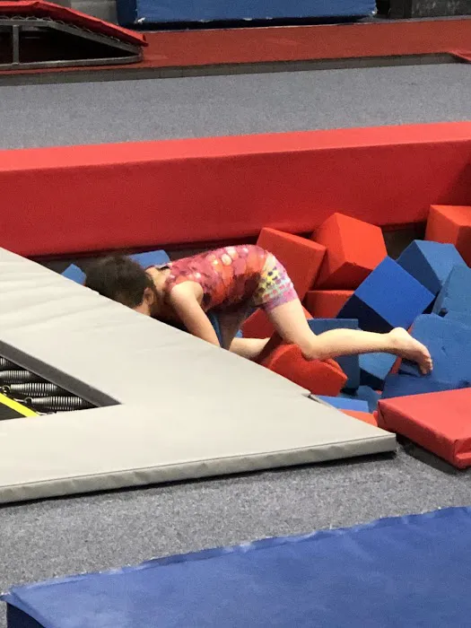 Powerhouse by Power Moves Gymnastics Picture 7