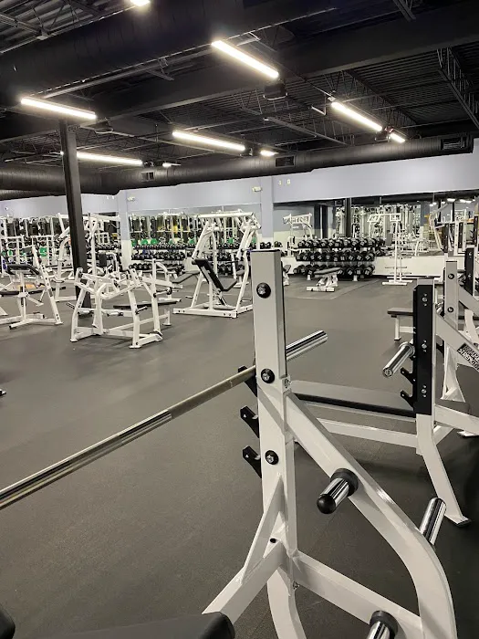 Kings & Queens Elite Fitness Facility Picture 7