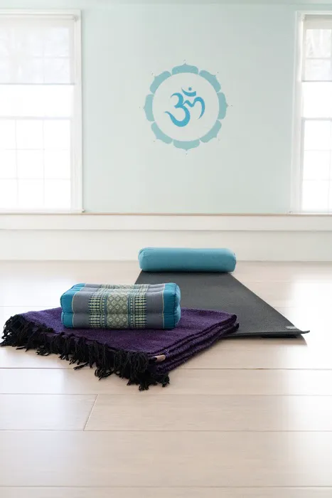 Body Balance Yoga & Fitness Studio Picture 10