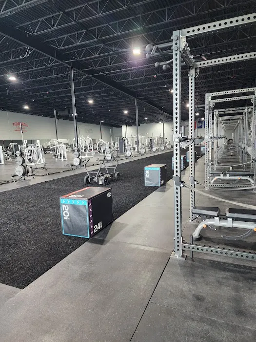 The Iron Asylum Gym Picture 1