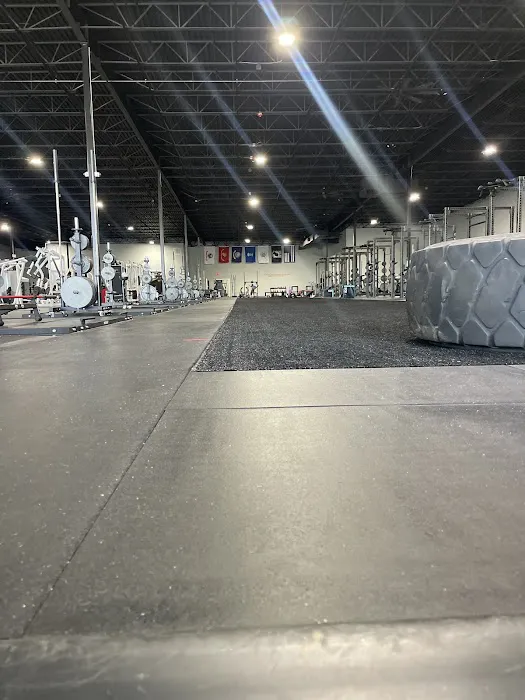 The Iron Asylum Gym Picture 10