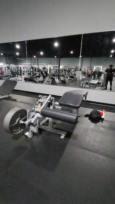 The Iron Asylum Gym Picture 4