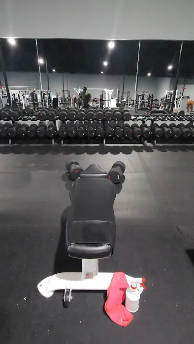 The Iron Asylum Gym Picture 5