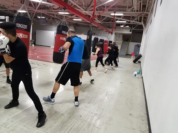 Nasty Knuckles boxing Picture 7