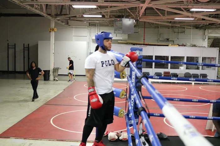 Nasty Knuckles boxing Picture 1