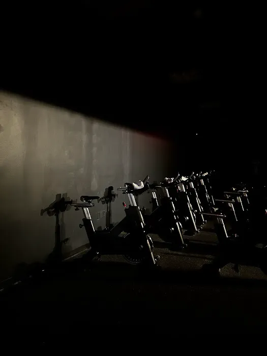 Compass Cycle West Picture 5