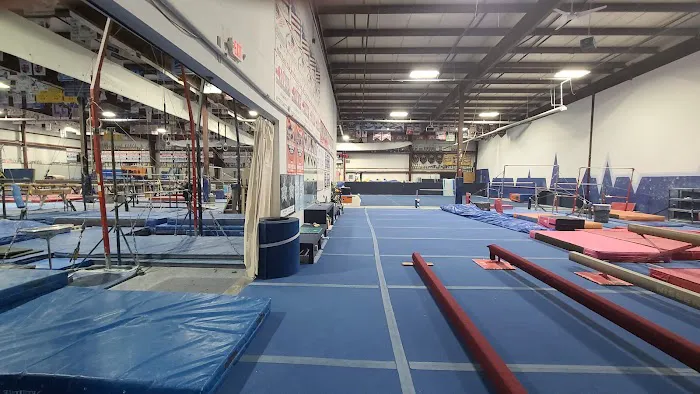 Rochester Gymnastics Academy Picture 1