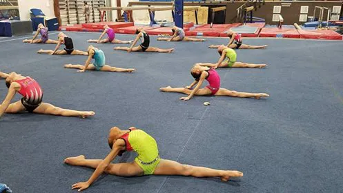 Rochester Gymnastics Academy Picture 3