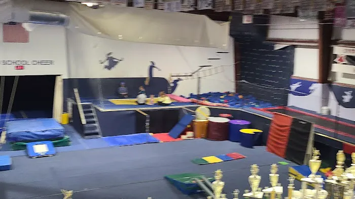 Rochester Gymnastics Academy Picture 10