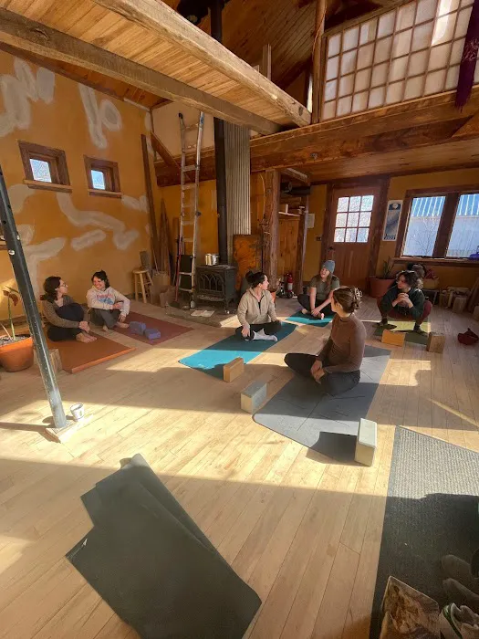 Sunny Side Yoga Center Picture 2