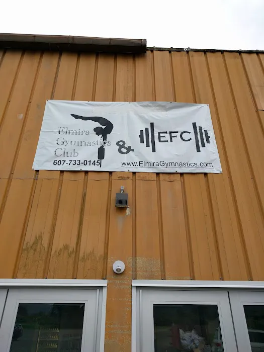 Elmira Gymnastics Club & Fitness Center Picture 2
