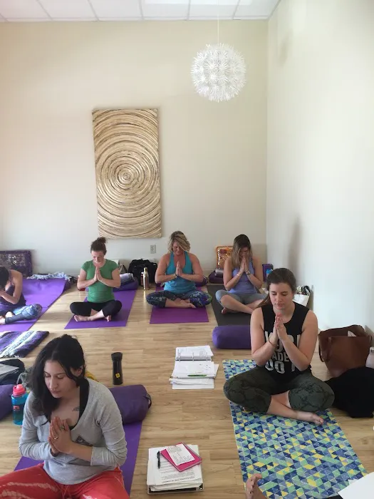 KYS Yoga School Picture 2