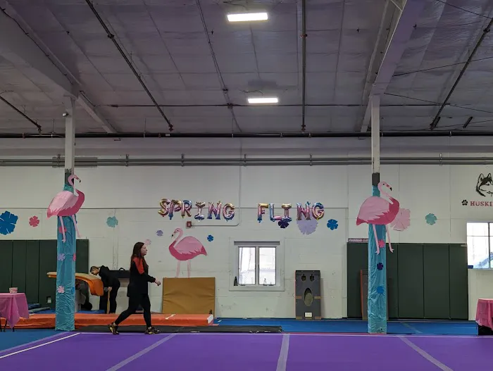 Granite State Gymnastics Center Picture 4