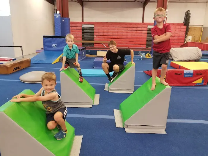 Impact Gymnastics Academy Picture 2