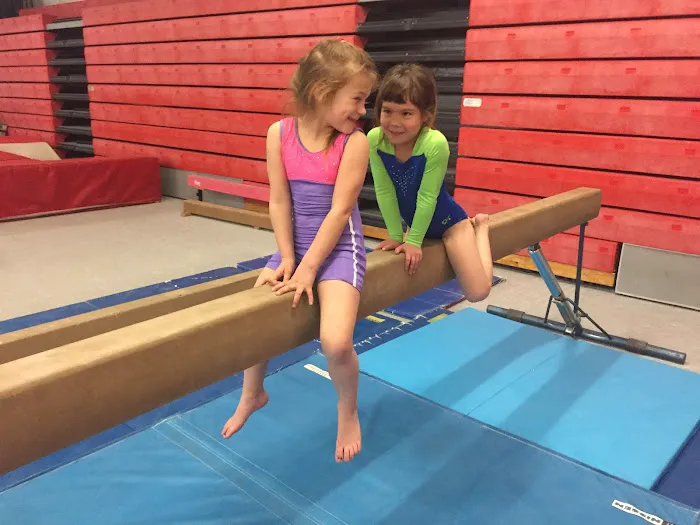 Impact Gymnastics Academy Picture 1