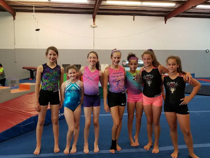 Impact Gymnastics Academy Picture 3