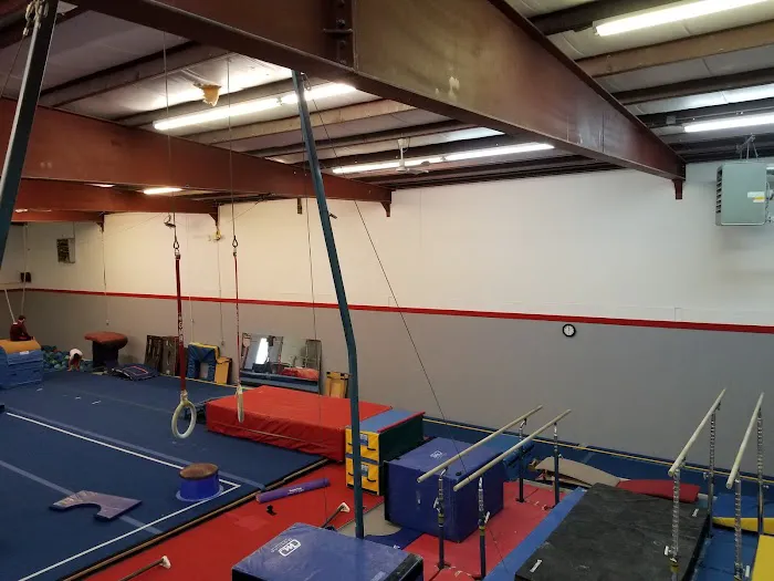 Impact Gymnastics Academy Picture 5