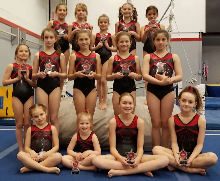 Impact Gymnastics Academy Picture 10